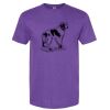 Unisex Softstyle® CVC T-Shirt Thumbnail