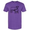Unisex Softstyle® CVC T-Shirt Thumbnail